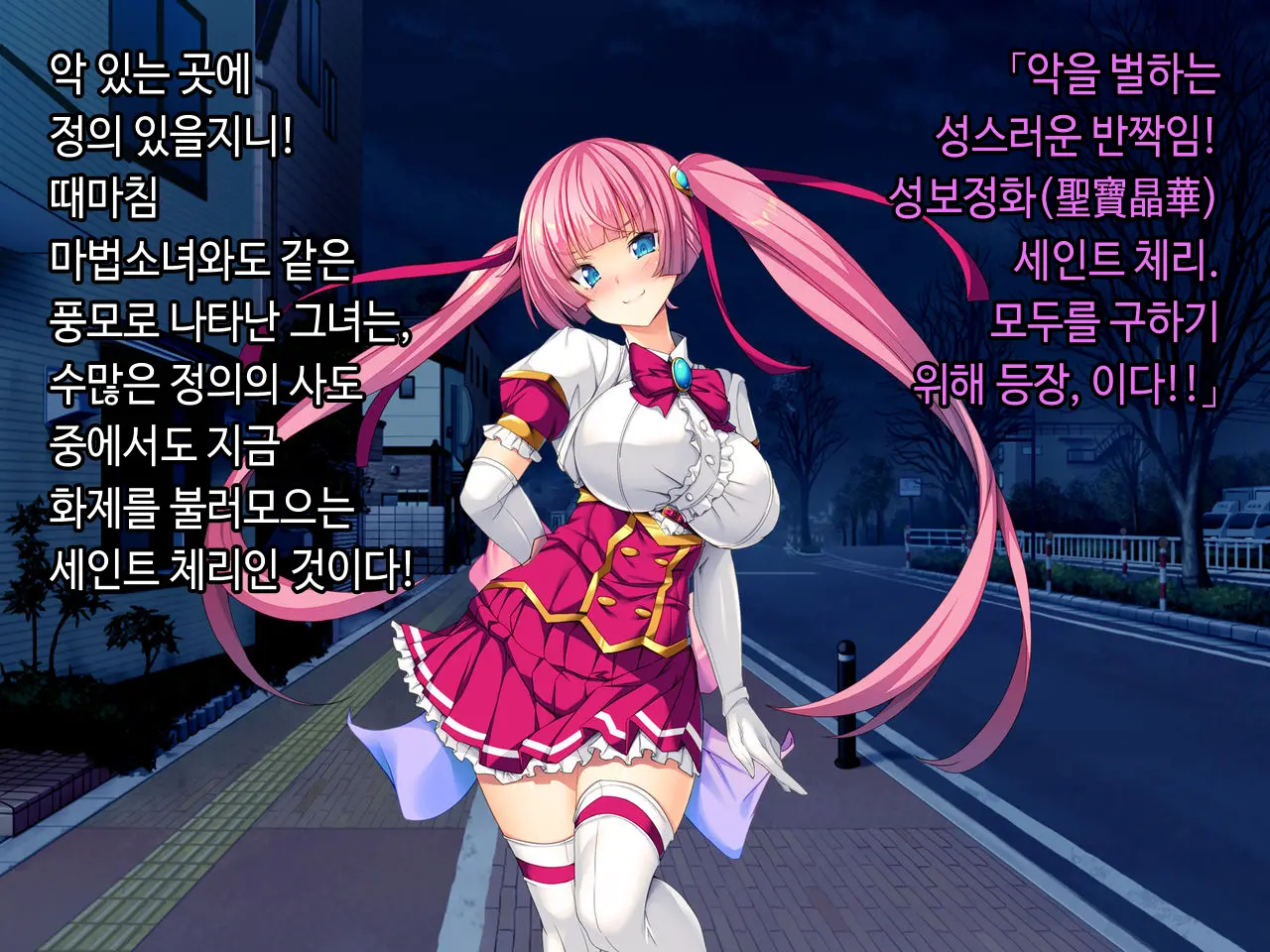 TS Mahou Shoujo Saint Cherry Kuppuku No Akuochi Sennou Choukyou Hen | TS마법소녀 세인트 체리 굴복의 타락세뇌조교편